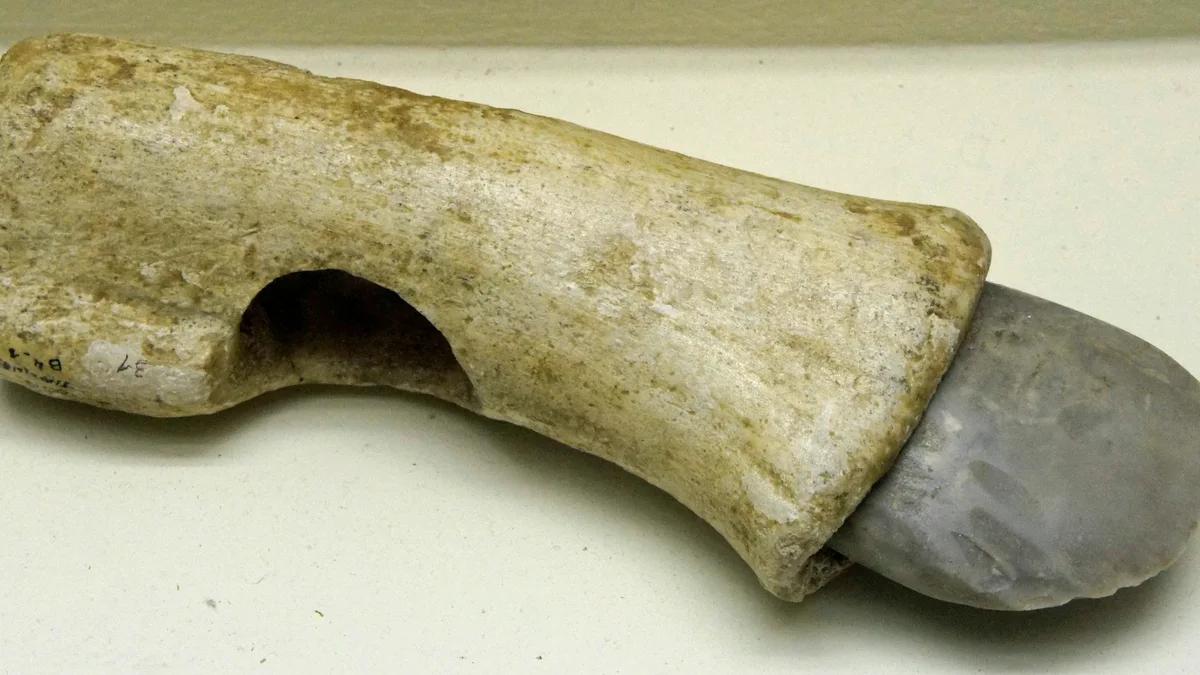 Archéologie : une découverte majeure à Jérusalem bouleverse l'histoire de la Judée ancienne