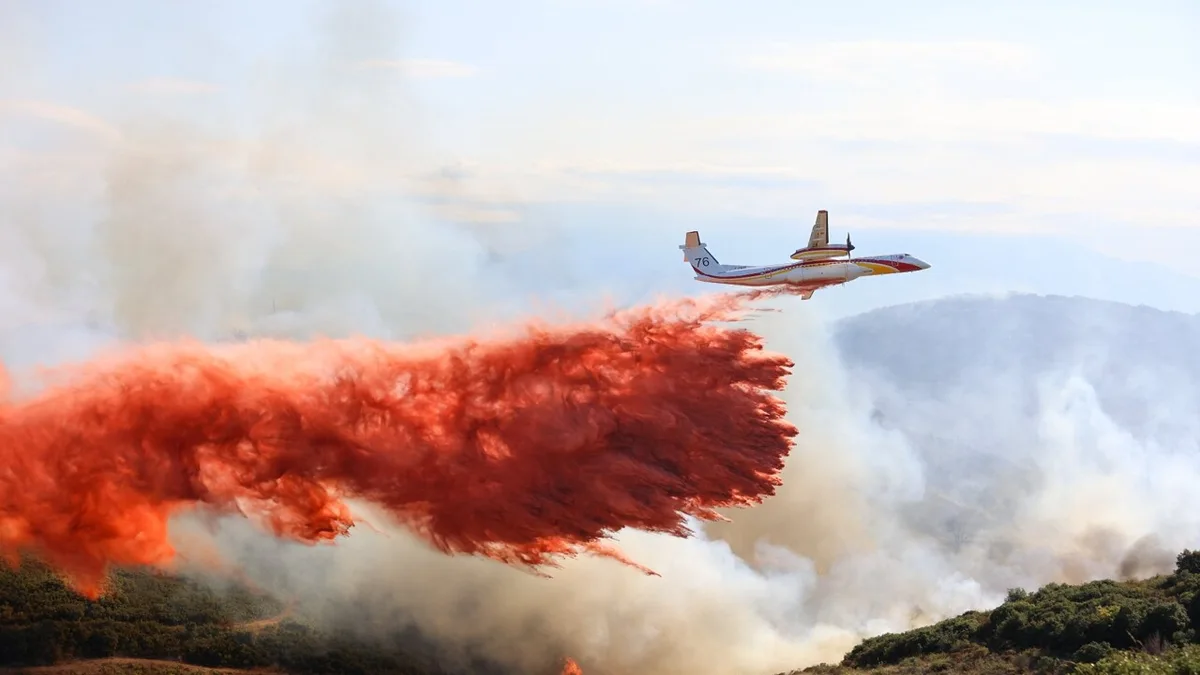 Incendies dans les Pyrénées-Orientales : une situation critique face à l'ampleur des flammes
