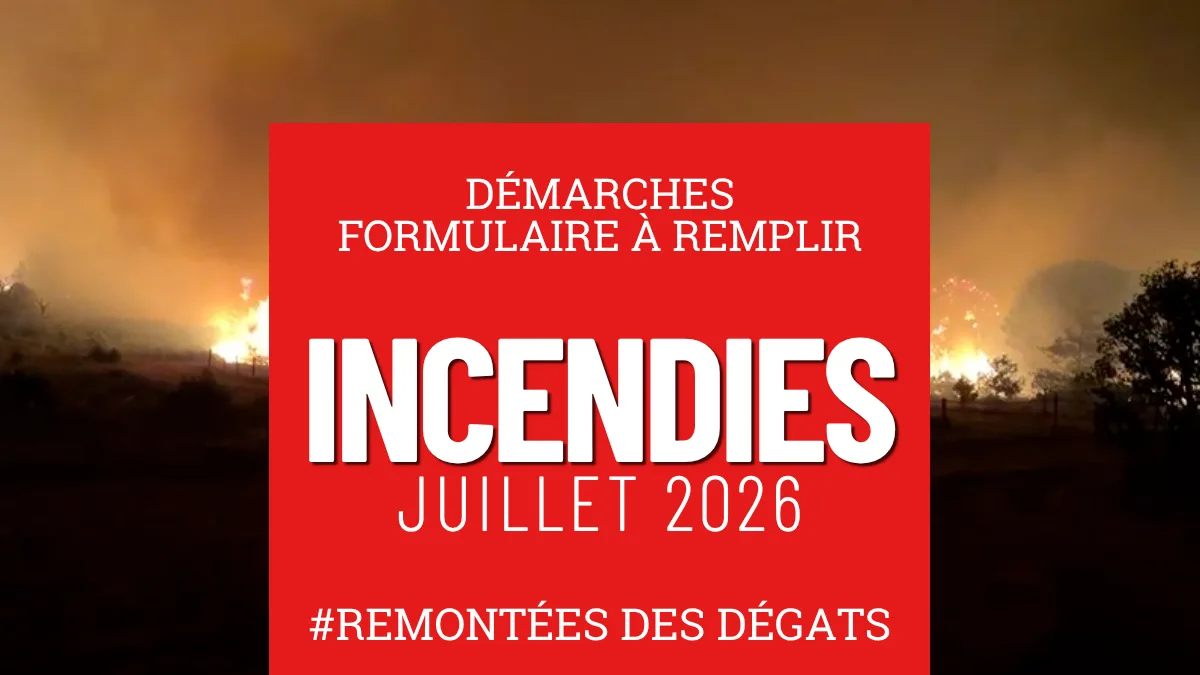 Pyrénées-Orientales : le défi de l'indemnisation après les incendies