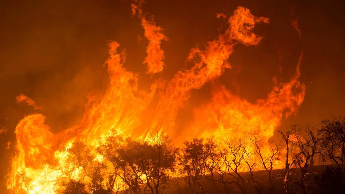 L'incendie de la forêt de Fontainebleau : un désastre écologique pour une biodiversité vulnérable