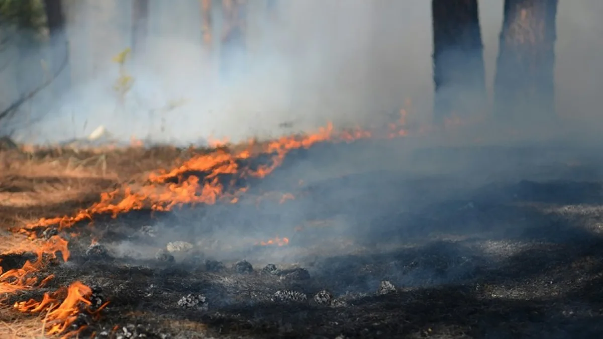 Tension dans le Cher : un incendie menace un site d'armement classé Seveso à Morthomiers