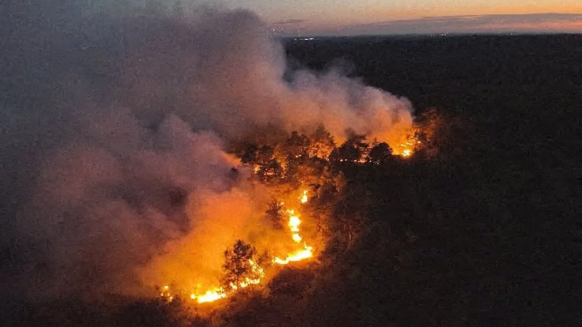 Crise en forêt de Fontainebleau : l'incendie persiste et menace le secteur de la Faisanderie