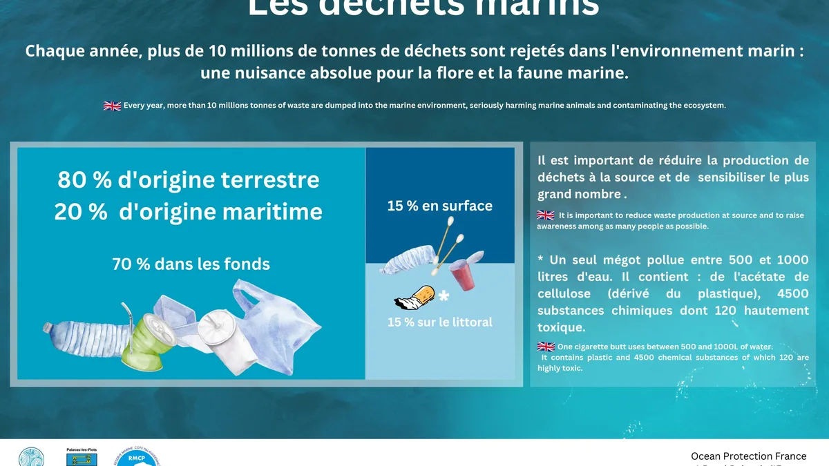 Palavas-les-Flots : l'immersion sous-marine au service de la sensibilisation à la biodiversité méditerranéenne