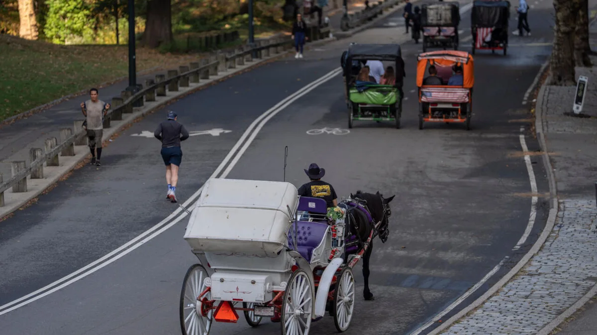 New York met fin aux calèches de Central Park après deux décennies de débats