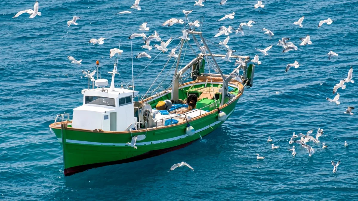 Pêche durable : vers une nouvelle limite pour la rentabilité écologique
