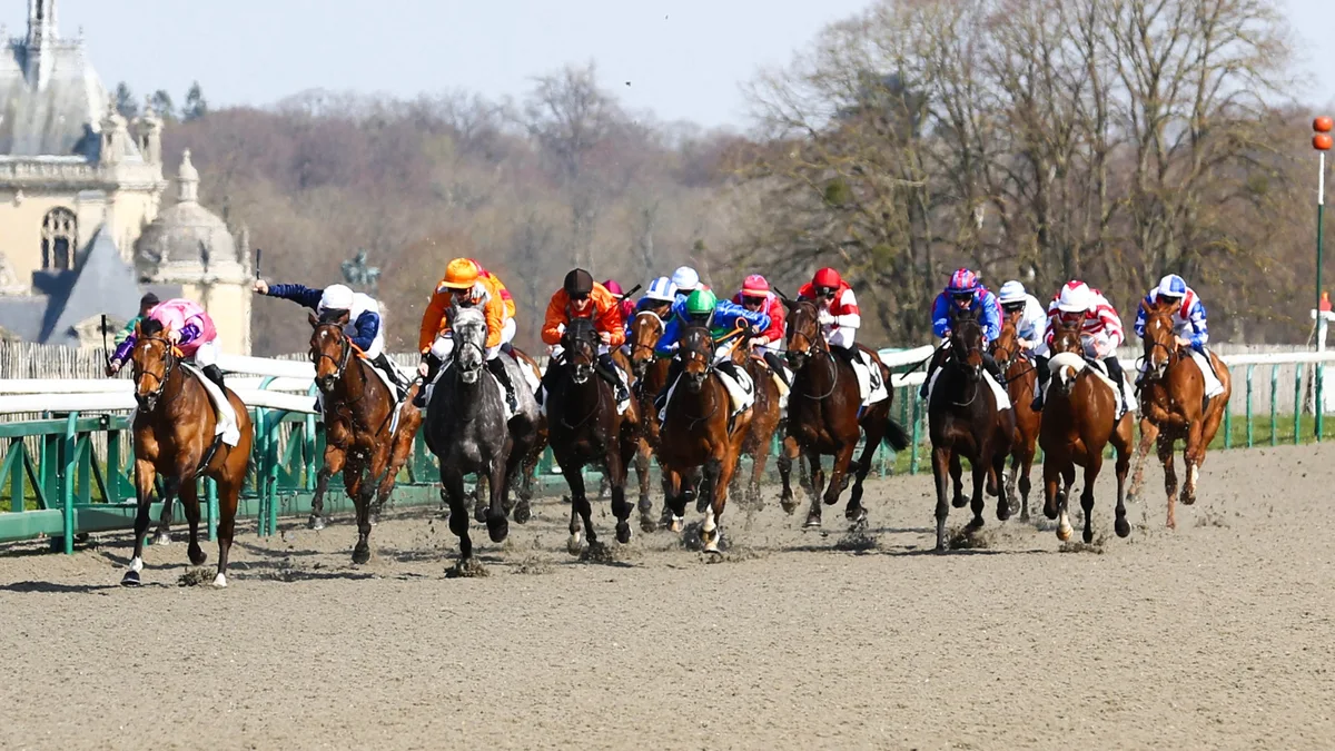 Quinté+ du 26 octobre 2026 à Chantilly : les pronostics pour la course de plat