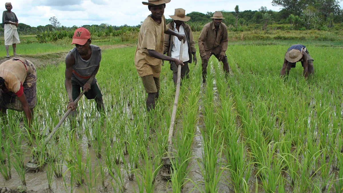 Madagascar : une vague de disparitions inquiétantes plonge Antananarivo dans la peur