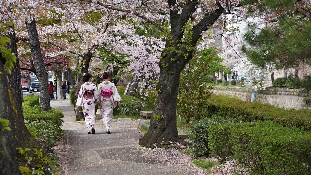Hanami : une chronique sensorielle de la jeunesse insulaire